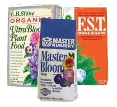 Master Bloom and FST